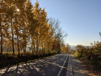 Road amidst trees against sky during autumn