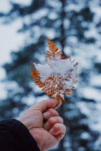 Close-up of hand holding frozen leaf during winter