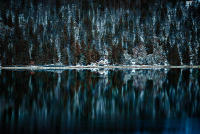 Scenic view of lake