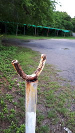 Close-up of metal fence by tree on field