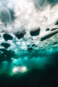 Close-up of jellyfish swimming in water