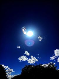 Low angle view of trees against blue sky