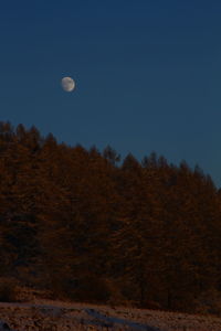 Scenic view of moon against clear sky at night