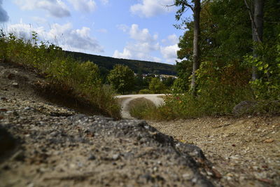 Surface level of dirt road amidst trees against sky