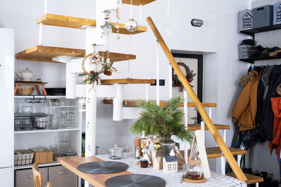 Potted plants in kitchen