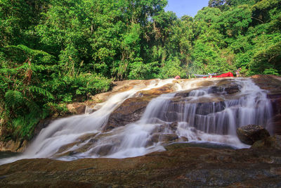 Scenic view of waterfall in forest