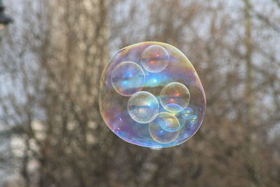 Low angle view of bubbles against trees