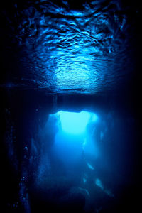 Close-up of swimming underwater