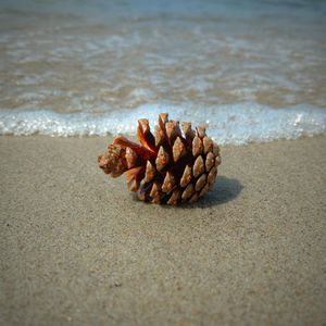 Surface level of pebbles on beach