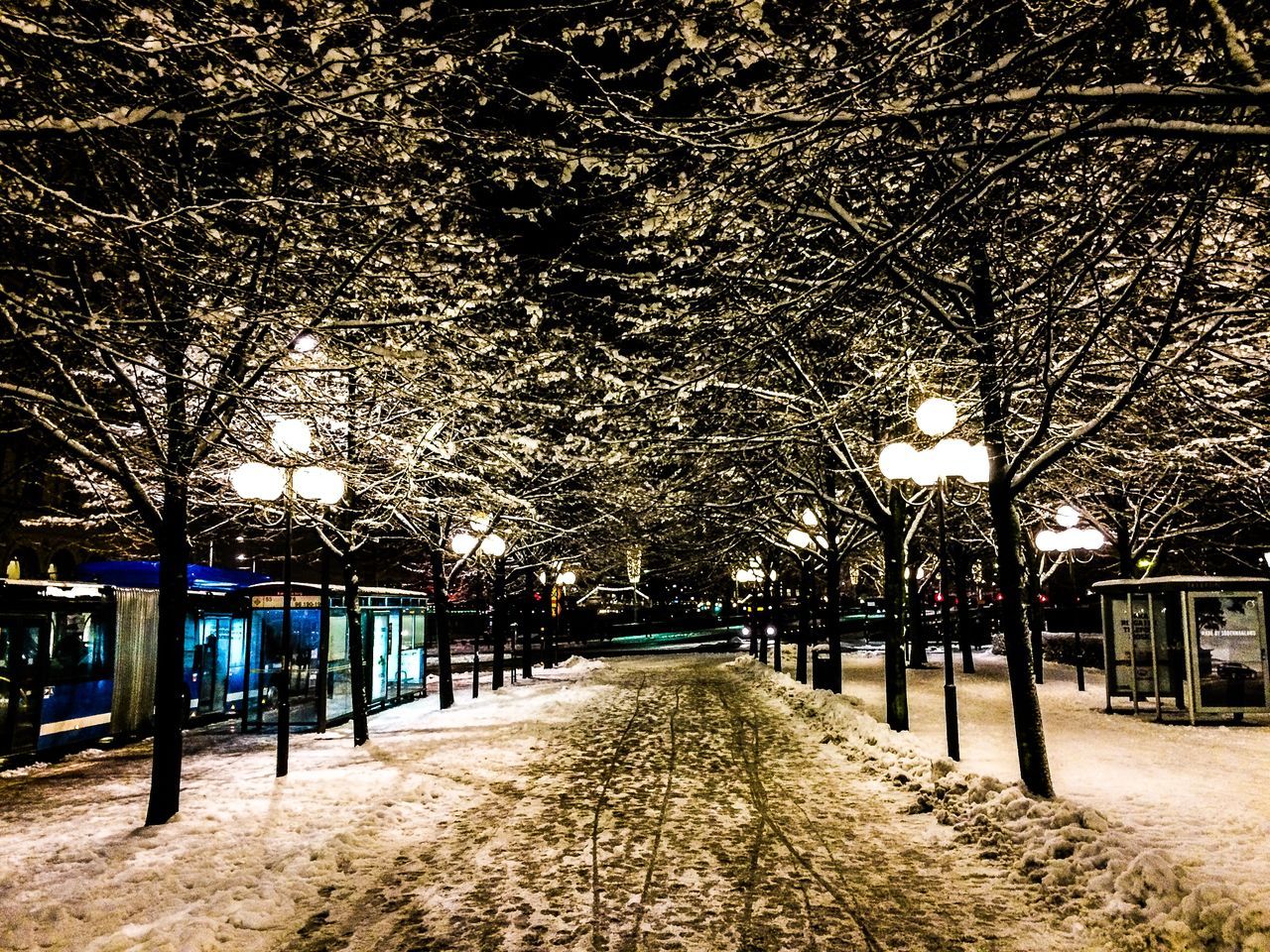 tree, illuminated, lighting equipment, street light, night, the way forward, empty, bare tree, branch, treelined, absence, park - man made space, tranquility, nature, fence, footpath, built structure, diminishing perspective, outdoors, in a row