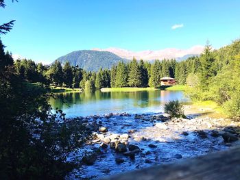 Scenic view of lake in forest against clear sky