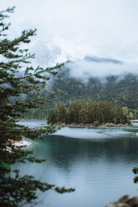 Scenic view of lake by trees against sky