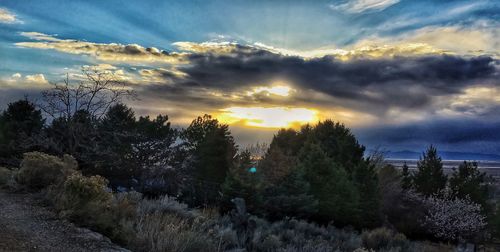 Scenic view of landscape against cloudy sky