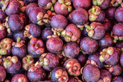 Close up top view of mangosteen fruit on background view.