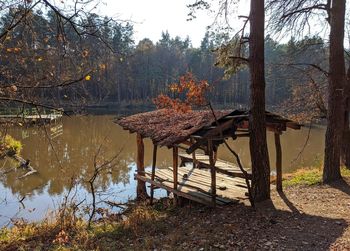 Trees by lake in forest during autumn