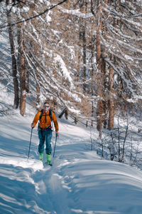 Back country skier in forest