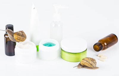 Close-up of food on white table