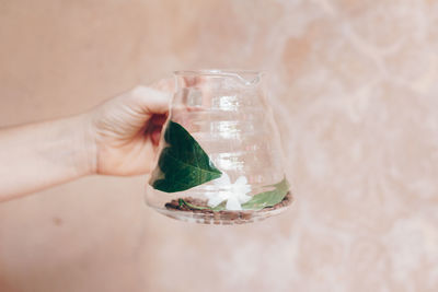 Close-up of hand holding glass