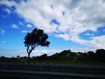 Trees on field by road against sky