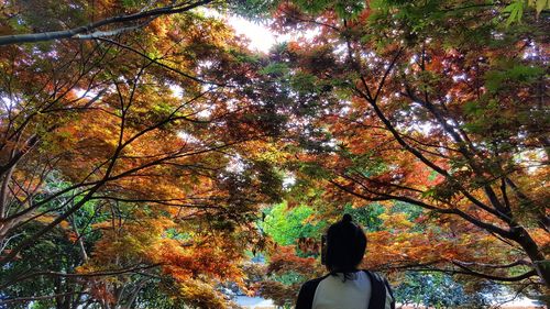 Rear view of woman against trees during autumn