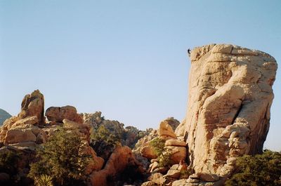 Person rock climbing at joshua tree national park against clear sky