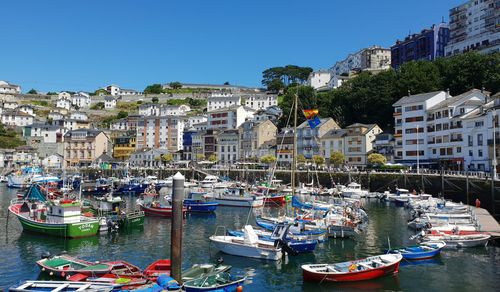 Sailboats moored on harbor by buildings in city