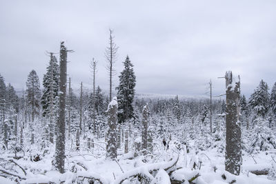 Snow covered field against sky