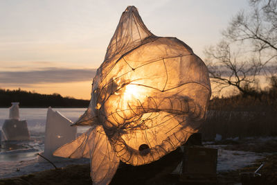 Transparent paper sculpture of a fish backlit by sunset