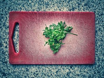 High angle view of chopped vegetables on cutting board