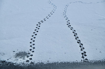 High angle view of footprints on snow