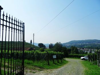 Scenic view of field against clear sky