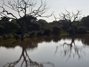 Scenic view of lake against sky