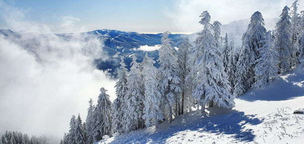 Scenic view of snow covered mountains against sky