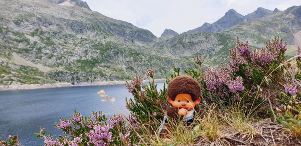 Portrait of man on flowering plants against mountains