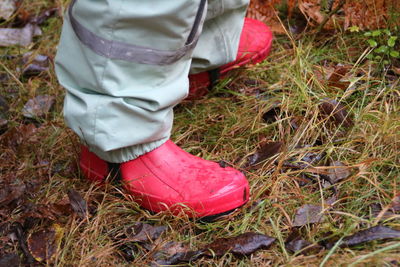 Low section of person wearing shoes on field