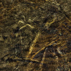 Close-up of yellow rock