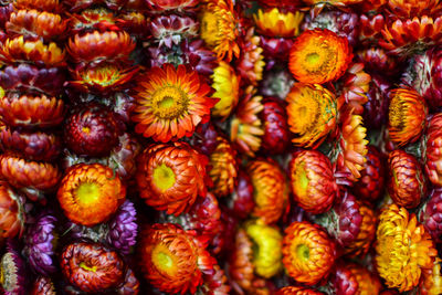 Full frame shot of flowers for sale in market