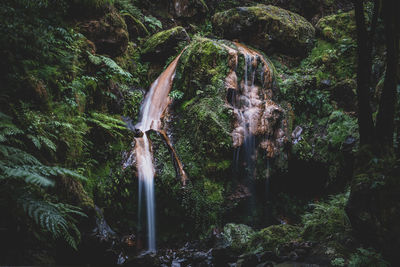 View of waterfall in forest