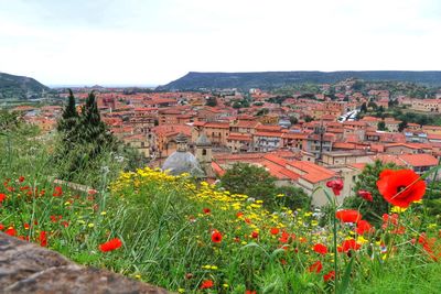 Scenic view of townscape and mountains against sky