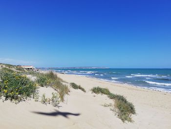 Scenic view of beach against clear blue sky