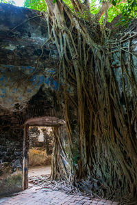 Interior of old building