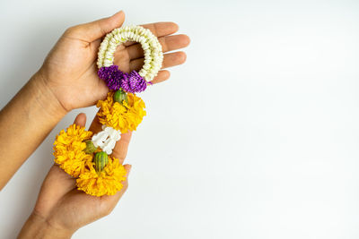 Close-up of hand holding yellow flower against white background