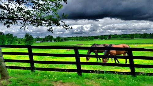 Scenic view of grassy field against cloudy sky