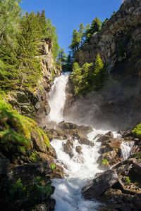 Scenic view of waterfall in forest