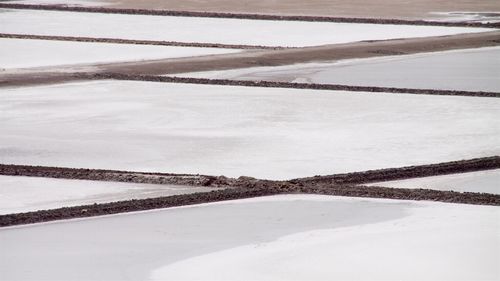 Scenic view of snow covered field