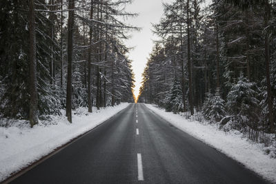 Road between snow covered trees on field