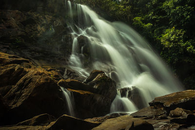 Scenic view of waterfall in forest