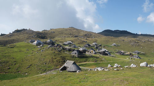 Panoramic view of horse on field against sky