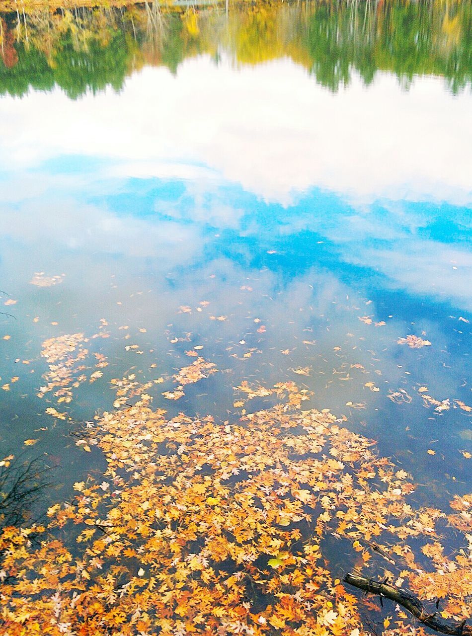 SCENIC VIEW OF WATER IN PARK