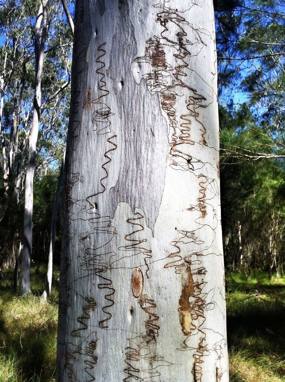 tree, tree trunk, art and craft, old, art, built structure, day, creativity, no people, history, weathered, growth, outdoors, wood - material, architecture, human representation, low angle view, cemetery, grass, carving - craft product